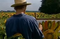Willem Wever hot - Waarom sneed Vincent van Gogh eigenlijk zijn oor af