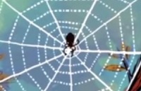 Het Klokhuis - Hoe maakt een spin een web