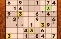 Speel nu Sudoku Classic op je iPad!