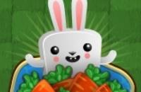 Speel nu Bunny Quest op je iPad!